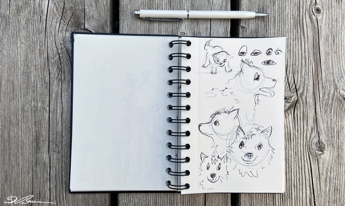 Rough sketches turned into drawings by Barbara Baumann