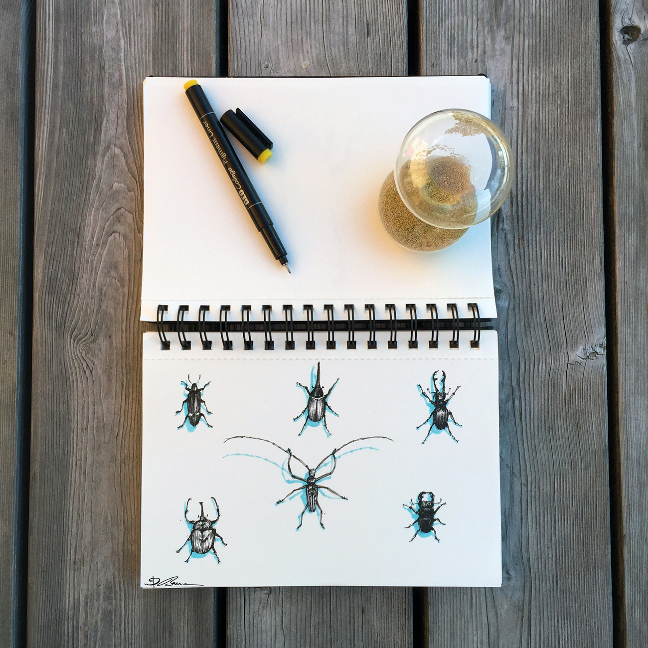 Bug Drawing 100 day challenge