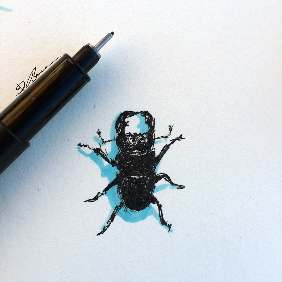 Barbara Baumann Drawing bugs