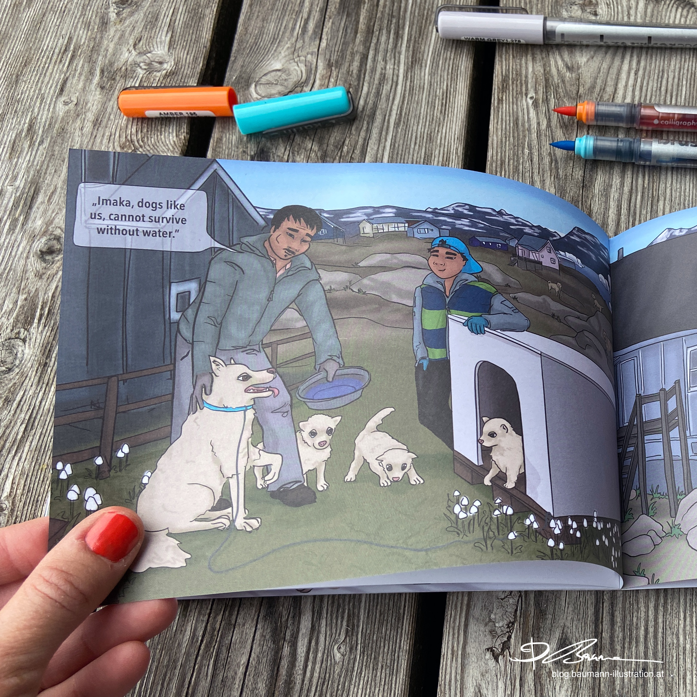 Greenland sledge dog - book illustration