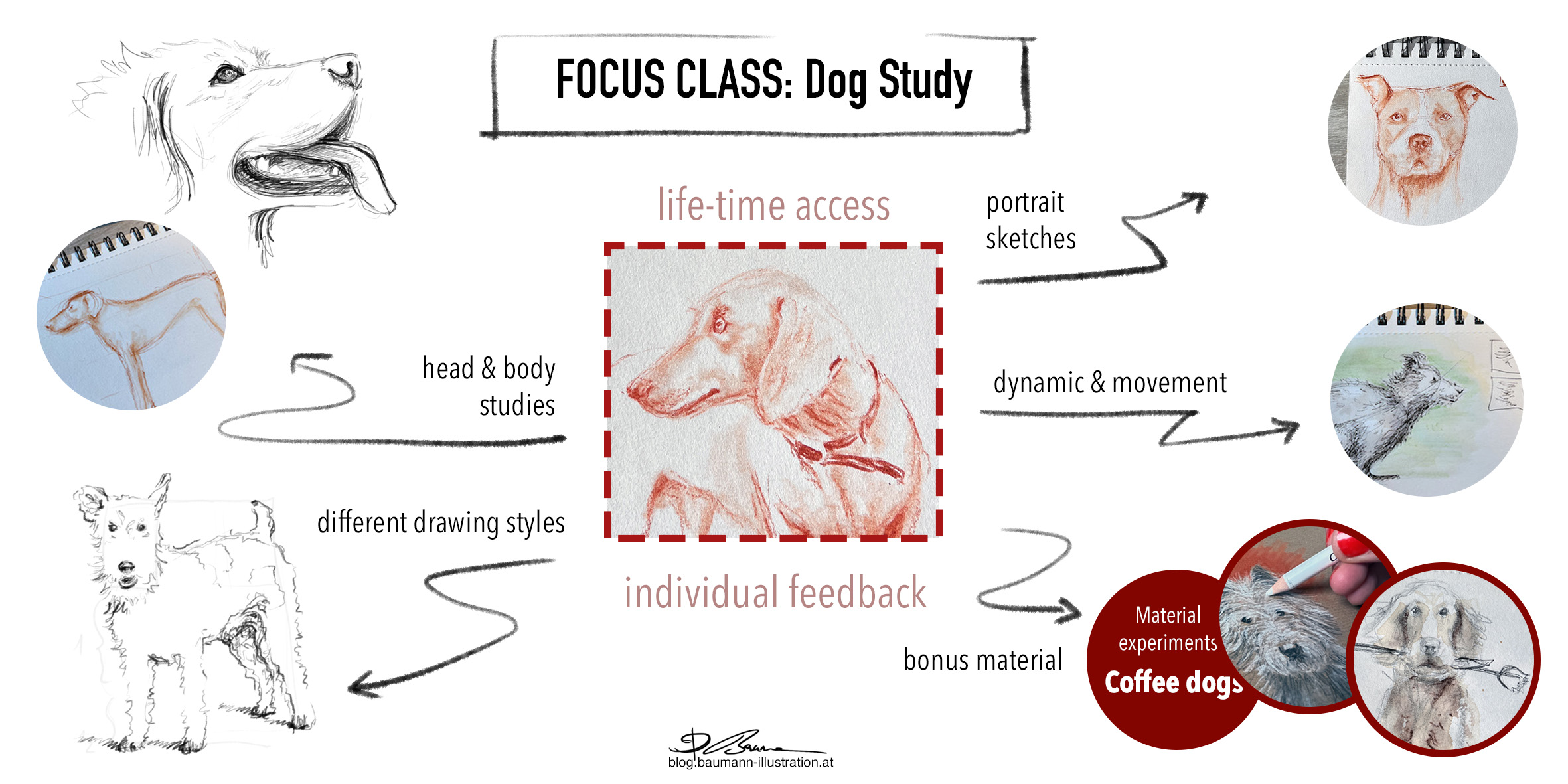 Dog Drawing Class by Barbara Baumann