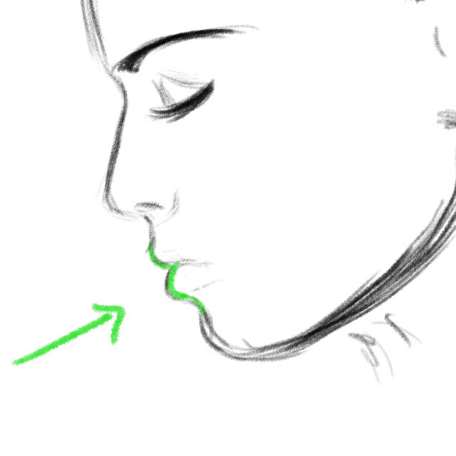 side face drawing by Barbara Baumann
